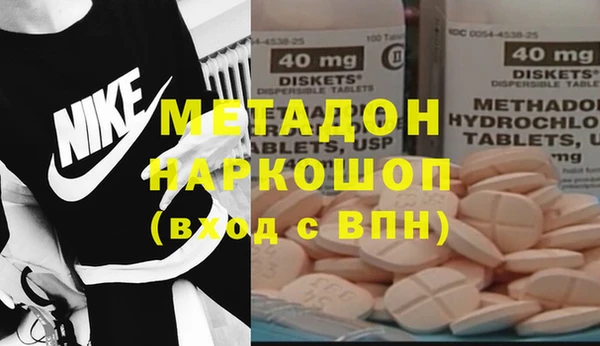 прущие грибы Аркадак
