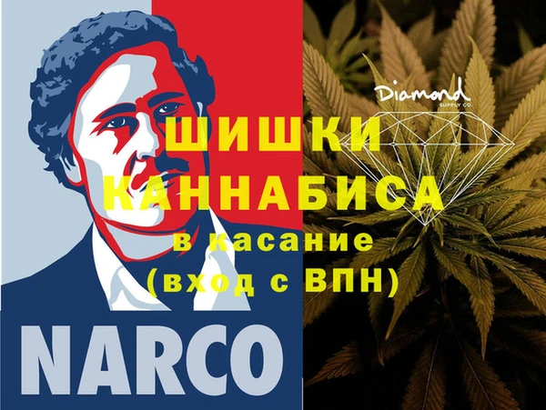 прущие грибы Аркадак