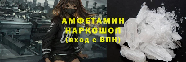 прущие грибы Аркадак