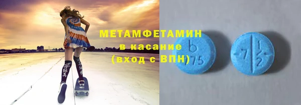 прущие грибы Аркадак