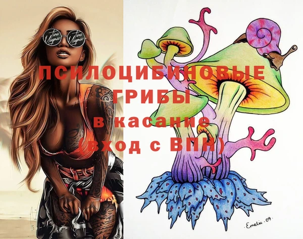 прущие грибы Аркадак