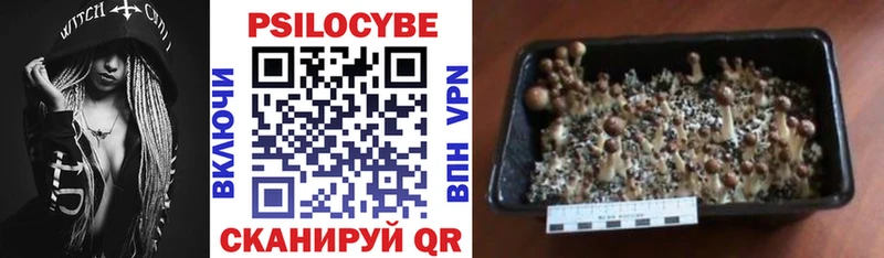 Псилоцибиновые грибы MAGIC MUSHROOMS Радужный